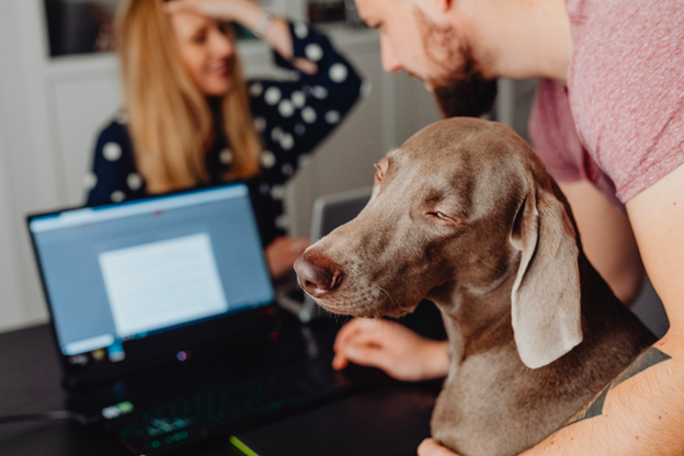Consider Making Your Workplace Pet-Friendly