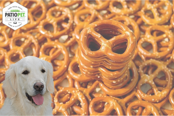Why are Pretzels Not Recommended for Dogs?