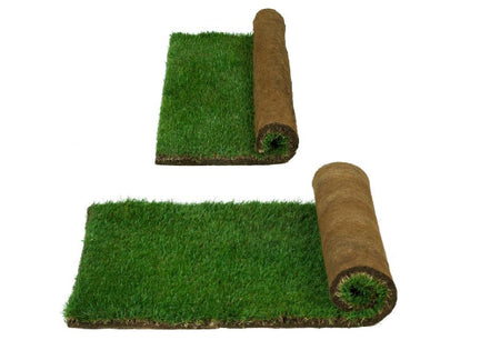 Real Grass Potty - Subscribe and Save 5%