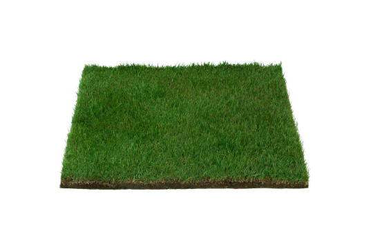 Real Grass Potty (Small)
