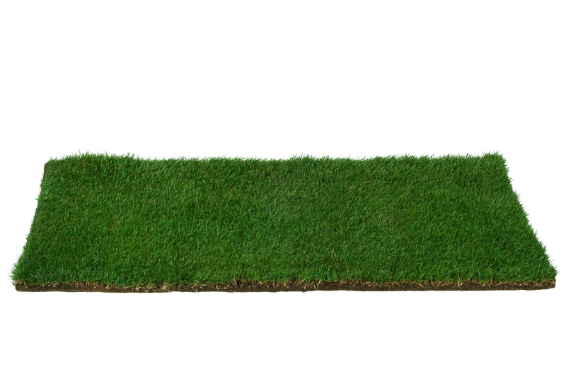 Real Grass Potty (Large)